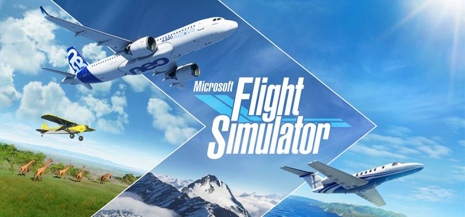 MİCROSOFT FLİGHT SİMULATOR